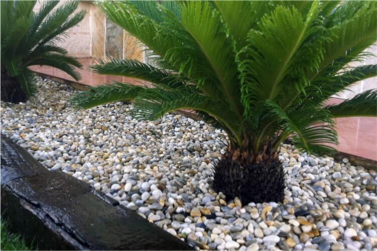 Garden Polished Mixed | Stone Decorative