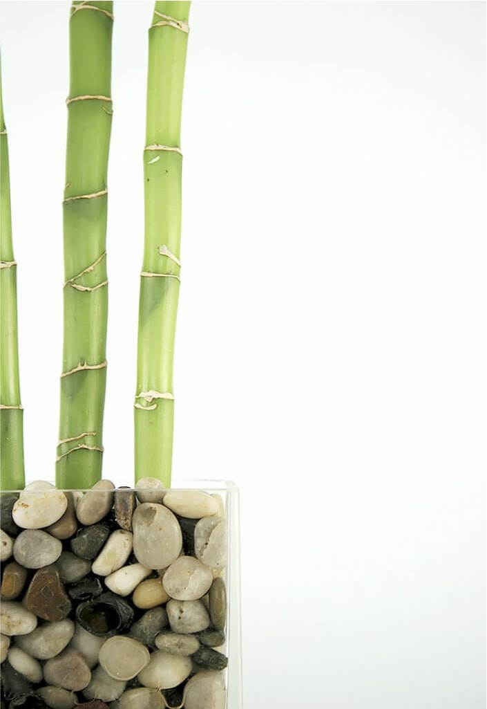 Gravel mixed | Stone Decorative