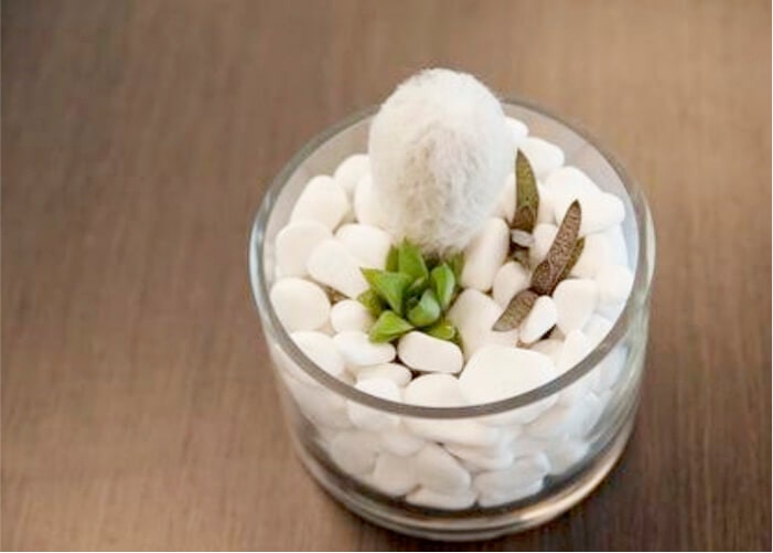 Gravel White | Stone Decorative