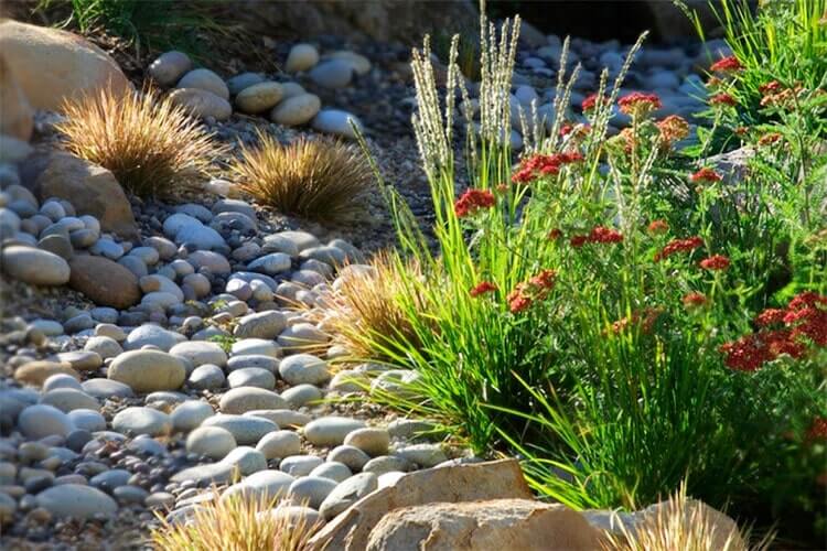 Signature Semi-Polished Beige | Stone Decorative