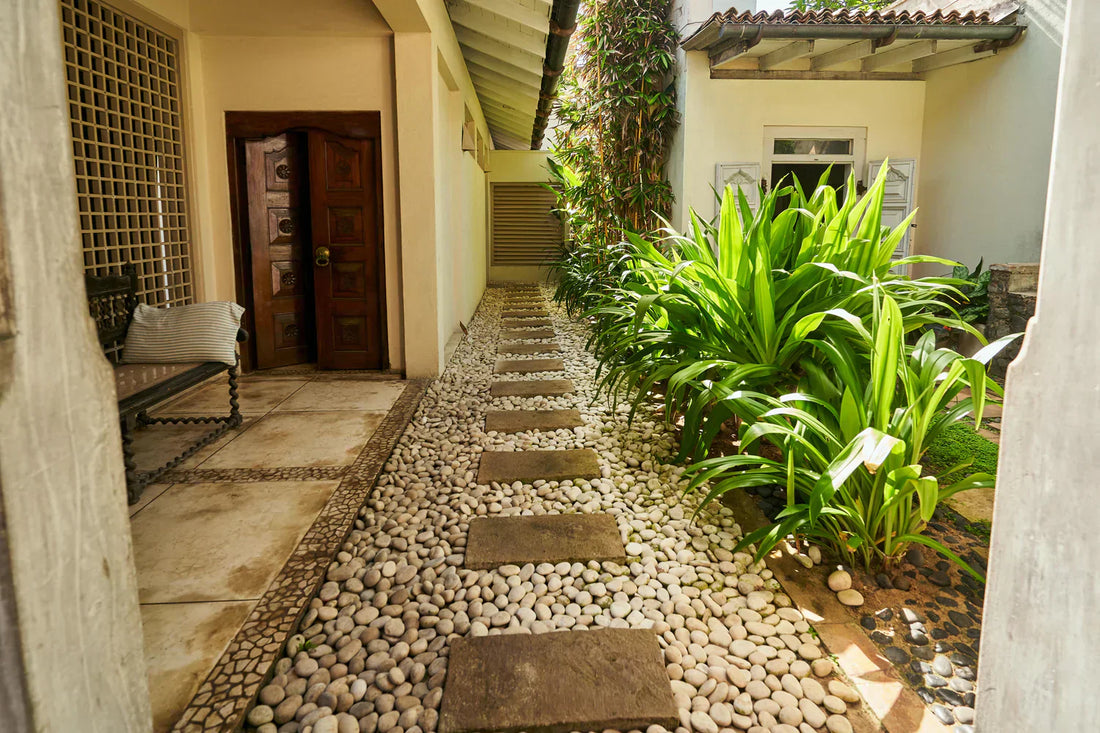 Decorative stones vs. grass: which is the best choice for your landscaping?