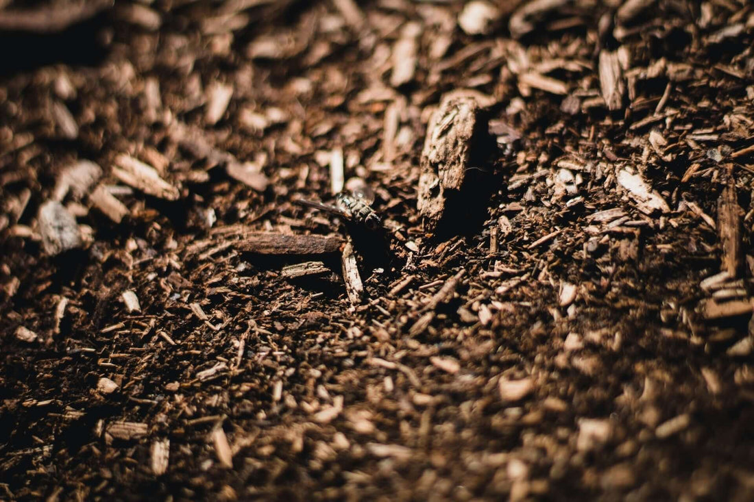 Stones vs. Mulch: Which Landscaping Material is Right for Your Project?