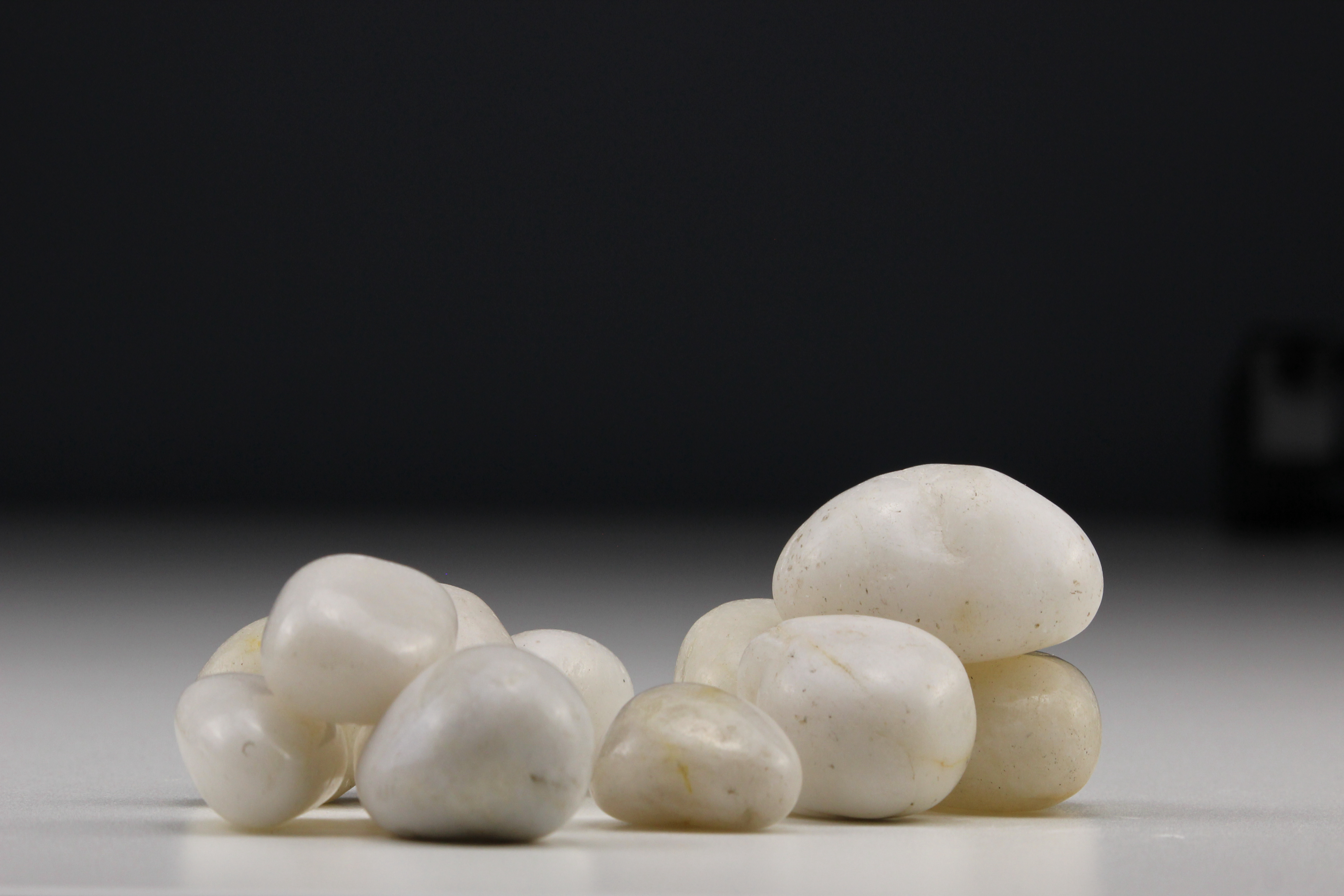 Garden Highly Polished Off-White