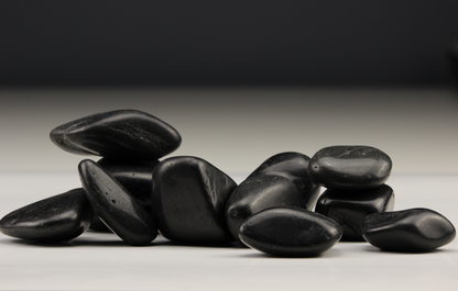 Garden Highly Polished Black