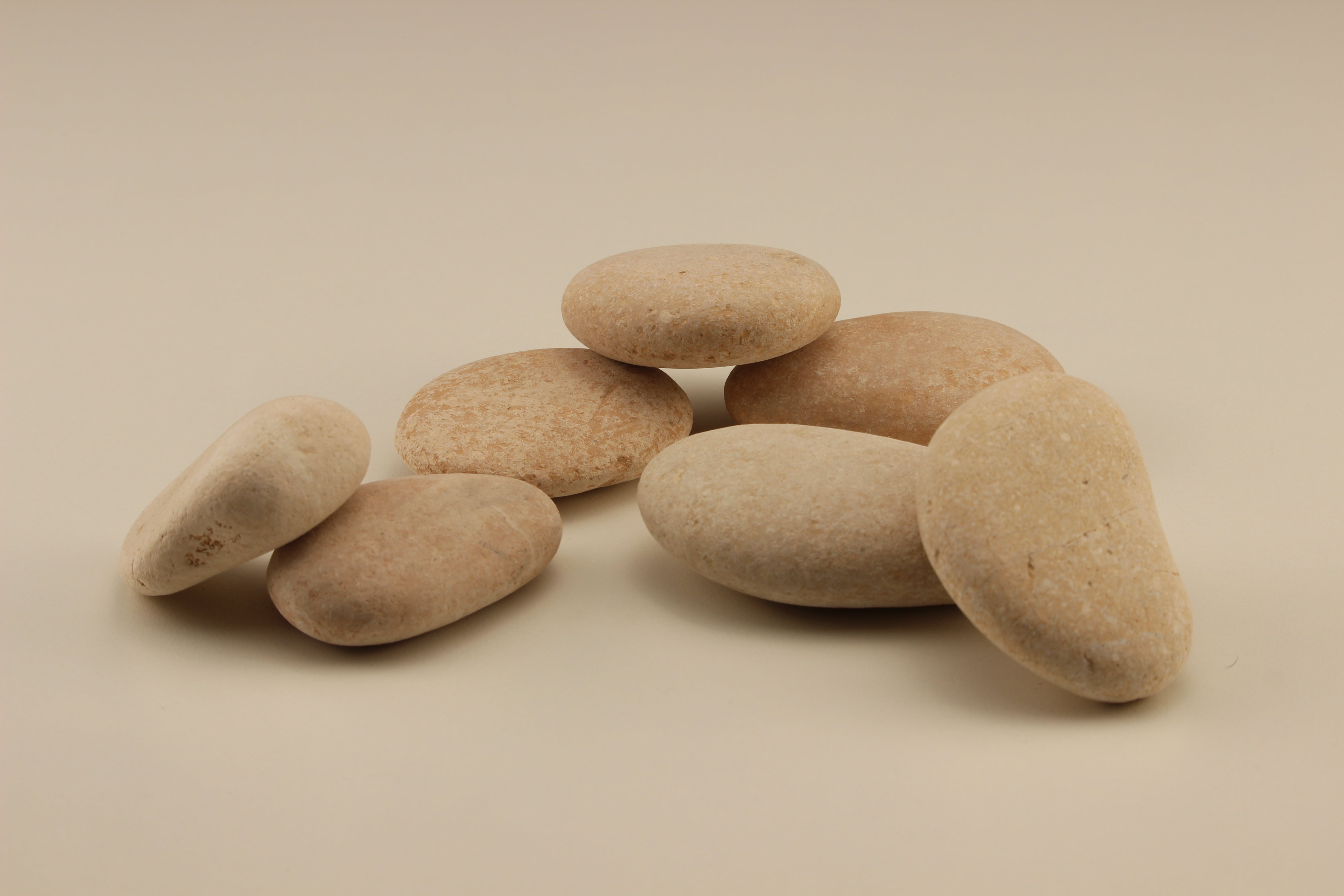 Garden Semi-Polished Rose