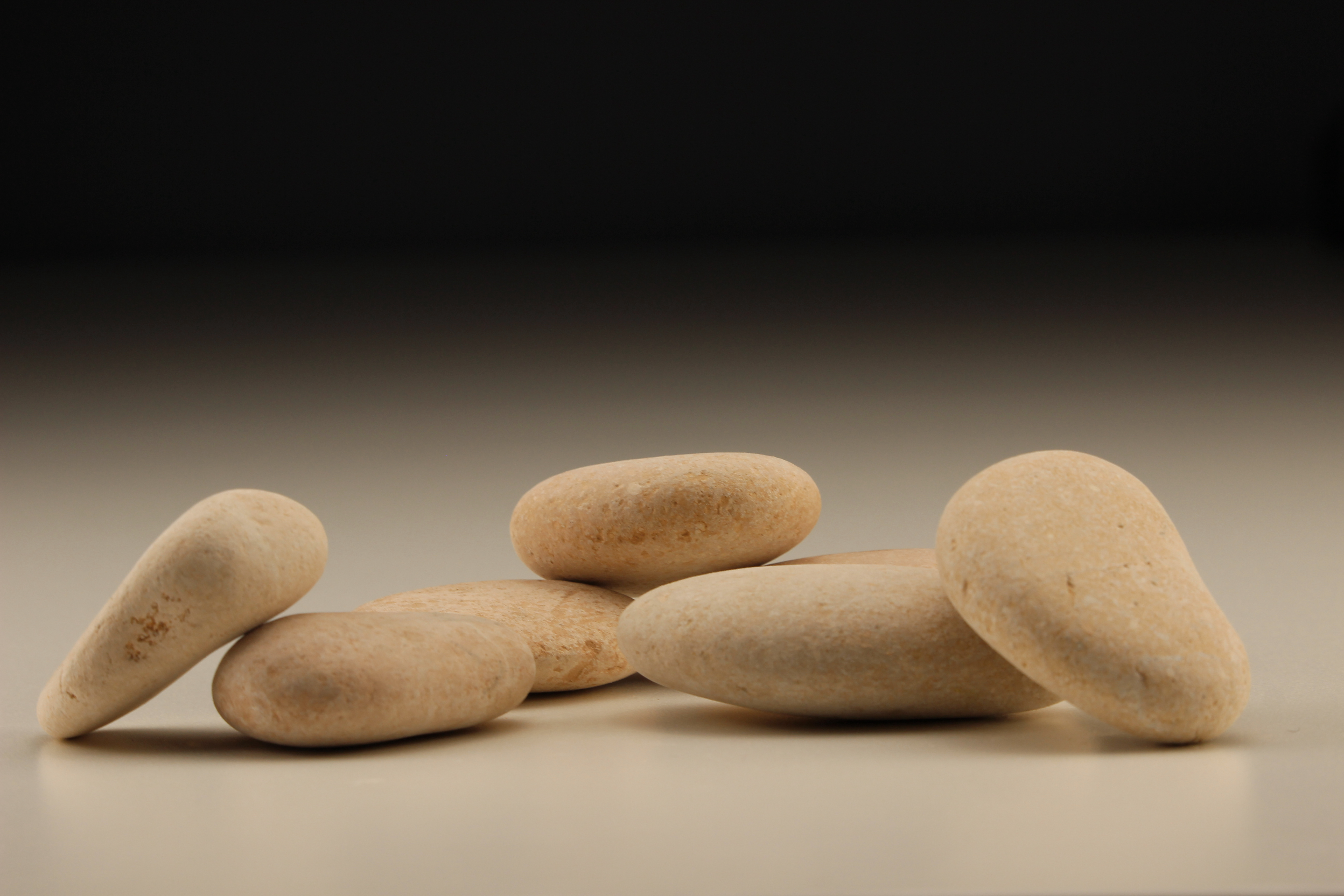 Garden Semi-Polished Rose