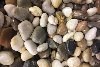 Garden Polished Mixed | Stone Decorative