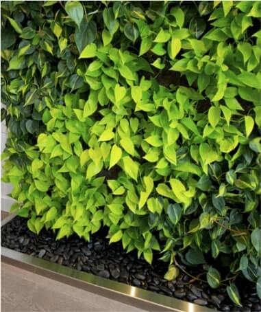 Garden Polished Black | Stone Decorative